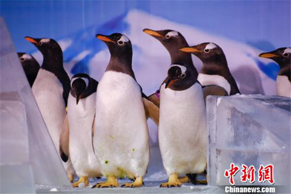 1514940753483005423.jpg 3e593750b94d76cd195b9f4523089b24.jpg