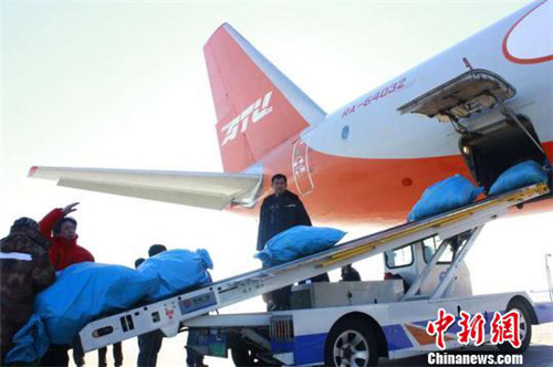 1518412654038024537.jpg f910ddd505be21040672277bee21e1ed.jpg