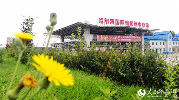 1534490260589087138.jpg 图片31.jpg