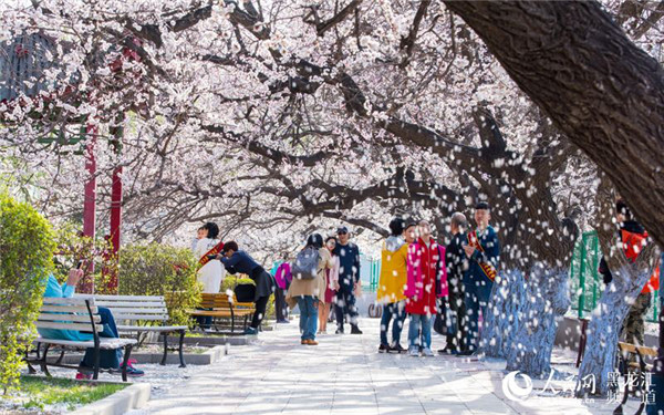 1524909031549056235.jpg 图片44.jpg