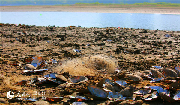 1527499592074092356.jpg 图片16.jpg