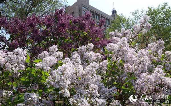 1525857040187002722.jpg LOCAL201805080746000055962048770.jpg