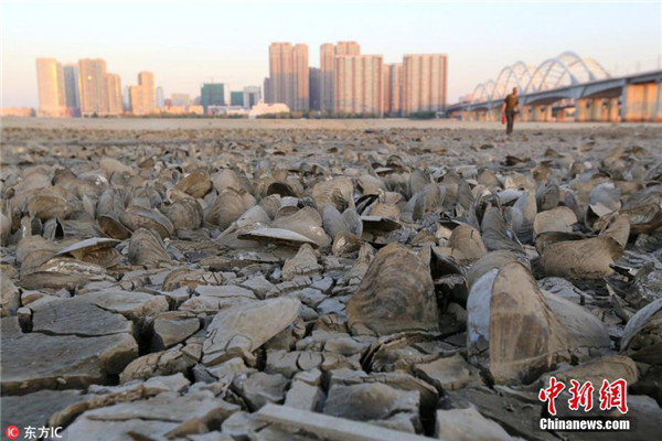 1527154470630046030.jpg 图片54.jpg