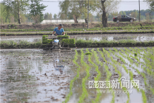 1527583972817002854.jpg 图片24.jpg