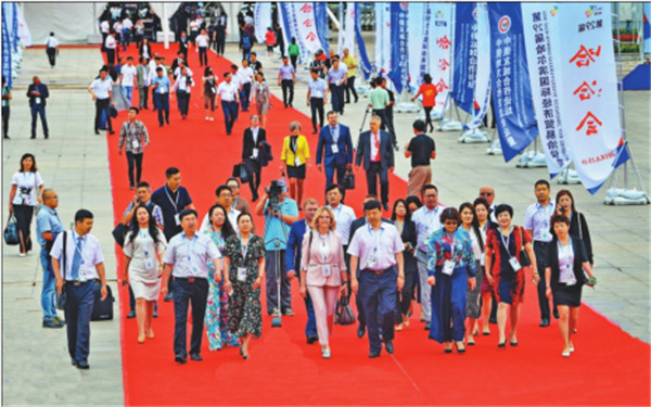 1529565989942053719.jpg 图片15.jpg