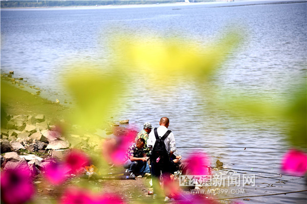 1528880142556025321.jpg 图片16.jpg