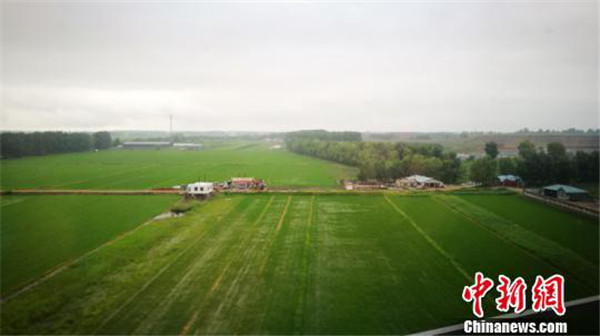 1531902451080025969.jpg 图片25.jpg