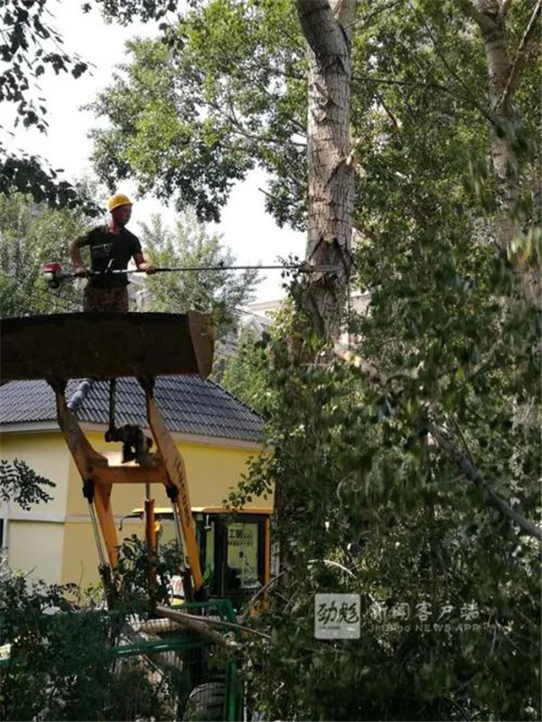 1531385081440094278.jpg 图片4.jpg