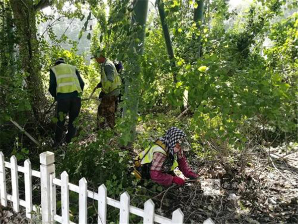 1531385102021059858.jpg 图片5.jpg