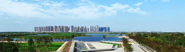 1512369501600022730.jpg 1.jpg