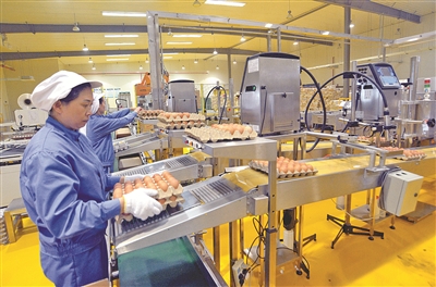 1498124701057042269.jpg 正大鸡蛋.jpg