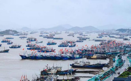 1525853550508073506.jpg fishing port xiangshan_副本.jpg
