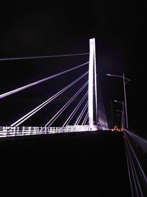 1510880884359019886.jpg t2_副本.jpg