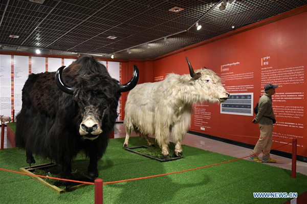 1514857741791051005.jpg 136857770_15144584787701n.jpg