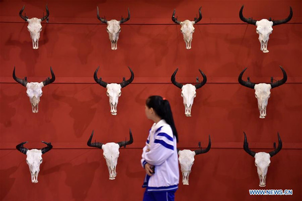 1514857932223016273.jpg 136857770_15144584791131n.jpg