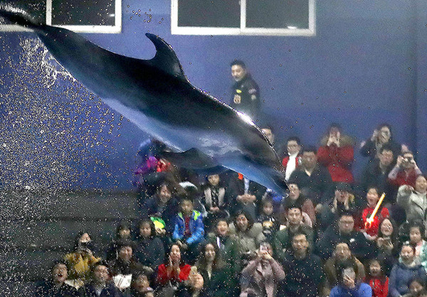 1514875985519095687.jpg 深圳_副本.jpg