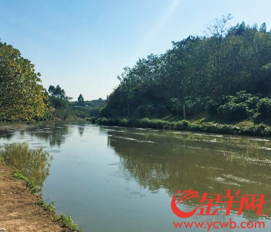 1515143375592040938.png 1.png