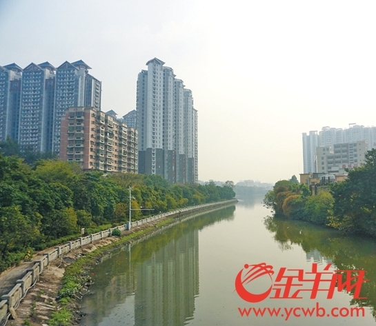 1515143413485082488.png 2.png