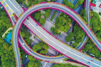 1515571762163092562.jpg 1.jpg