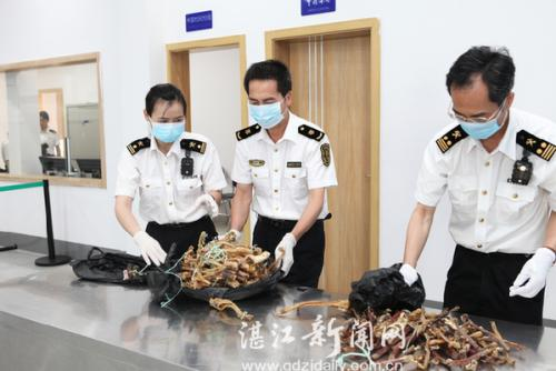 1522317228572009091.png 3.png