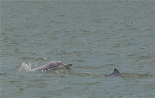 1499131877672026413.png h2_副本.png