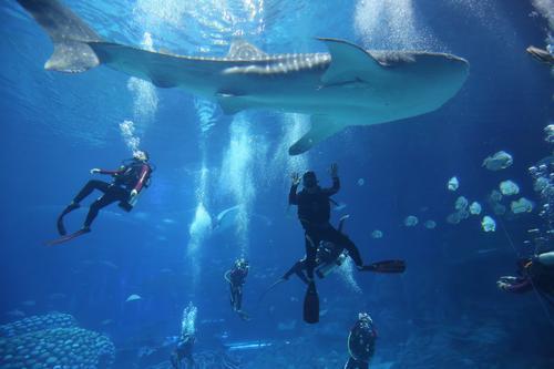 1505353797533092368.jpg sk1.jpg