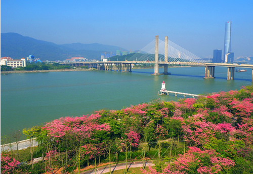 1505784681717093489.png hq_副本.png