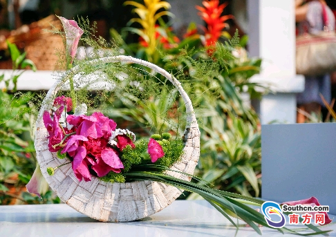 1505984817635022801.png 7427eaa176f51b2a08523e.png