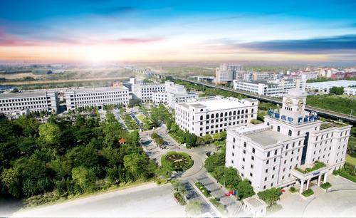 1507513234504022032.jpg 3.jpg