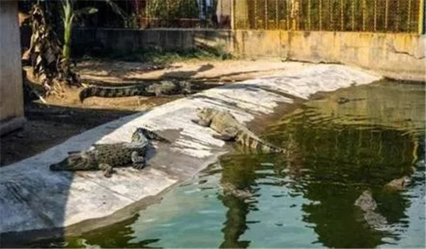 1529632122354072049.jpg trip3_副本.jpg