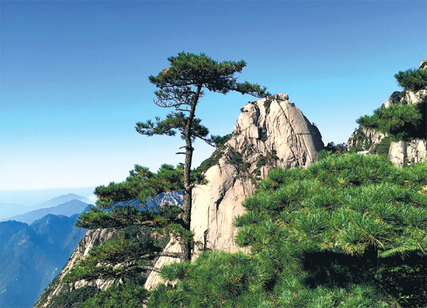 1534389214101094358.png 1.png