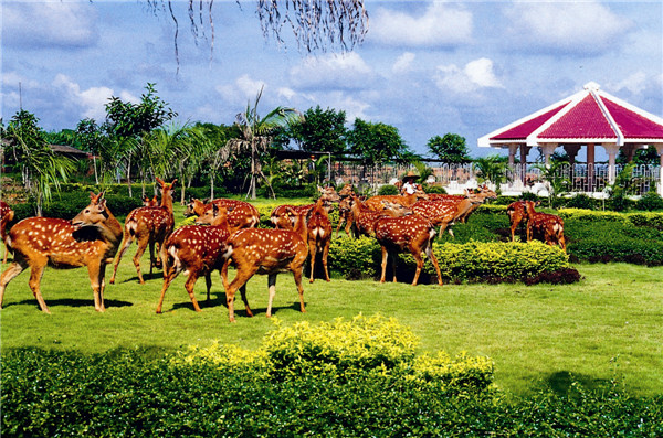 1512695574823009512.jpg 7.jpg