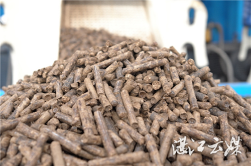 1512879799897069701.png zj2.png