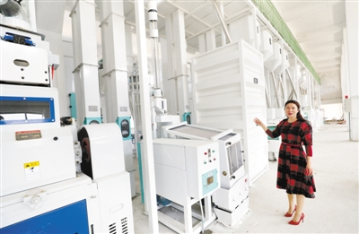 1517994480708069859.png 286ed488c7e31be4910701.png