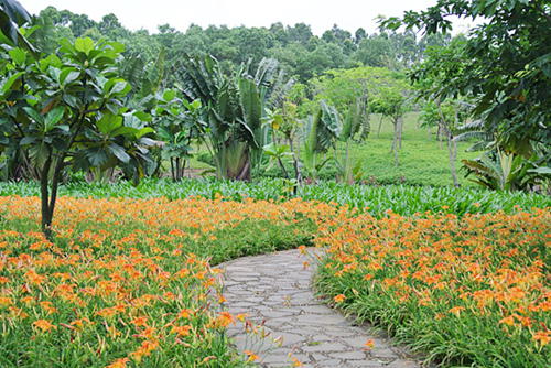 1519292020330098886.png 7.png