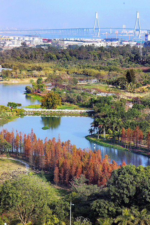 1519292038253015517.png 9.png