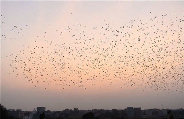 1519291762770075389.jpg 7.jpg