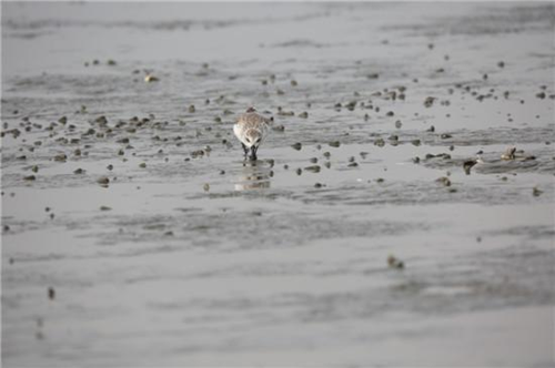 1520584732938013336.png 1.png