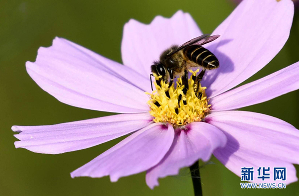 1520584936233019763.jpg 3.jpg