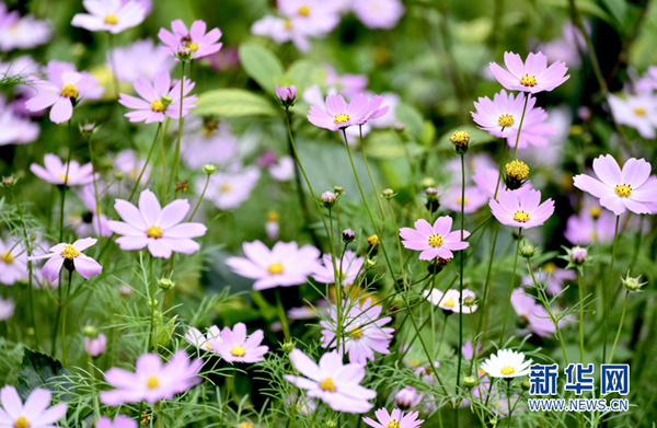 1520587248672092056.jpg 6.jpg