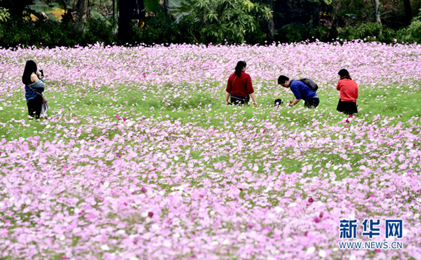 1520587256515040480.jpg 7.jpg