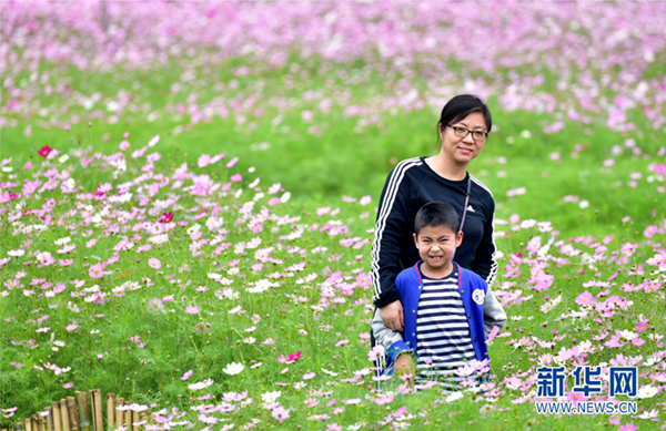 1520587266016000556.png 8.png