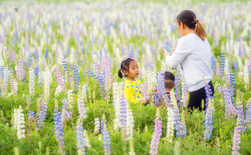 1521791082934081691.png 1_副本.png