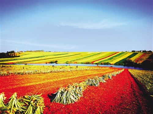 1521791091795015973.png 2_副本.png