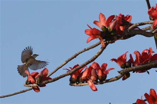 1521791144920043741.png 4_副本.png