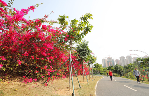 1521791156141090606.png 5_副本.png