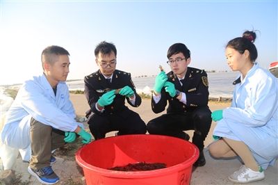 1522228293634021081.jpg 1z.jpg