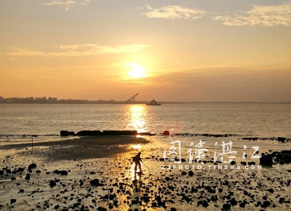 1529889200250041595.jpg zhanjiang2.jpg