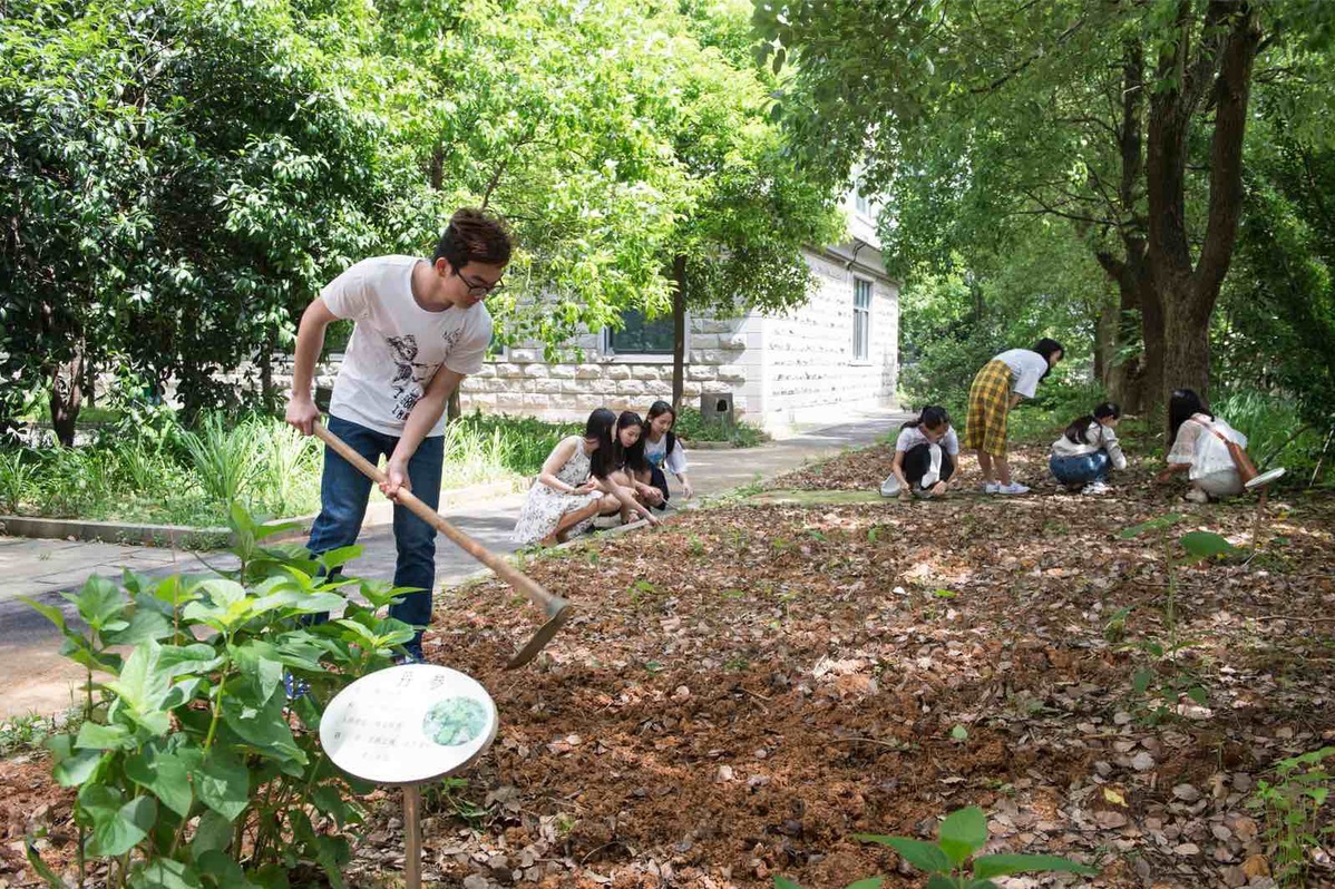 1526367741272035051.jpeg 1526367741272035051.jpeg