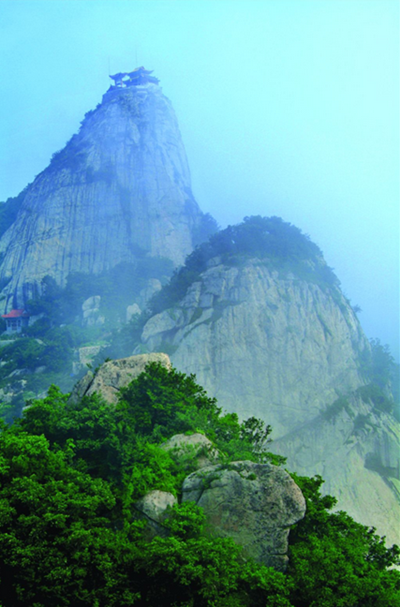 1519605316496041114.png 1.png